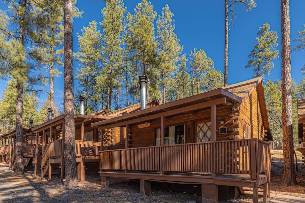 Forest Cabin 2 Birds Nest Payson Dış mekan fotoğraf