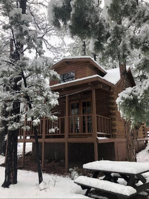 Forest Cabin 2 Birds Nest Payson Dış mekan fotoğraf