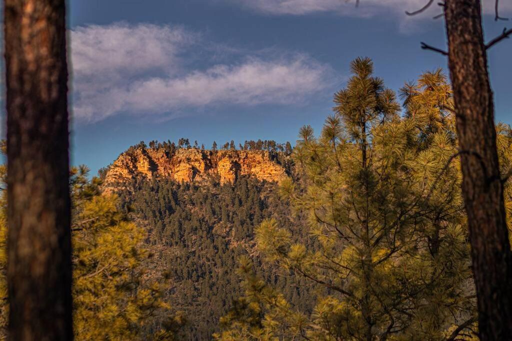 Forest Cabin 2 Birds Nest Payson Dış mekan fotoğraf